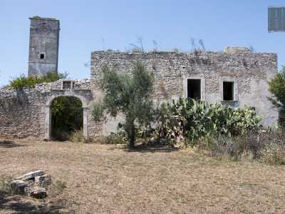 Davanti a noi si staglia una parete della cinta muraria quadrangolare che delimita il casale, preceduta da un ulivo e rigogliose piante grasse